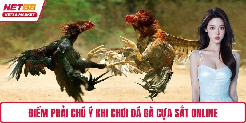 Điểm phải chú ý khi chơi đá gà cựa sắt online