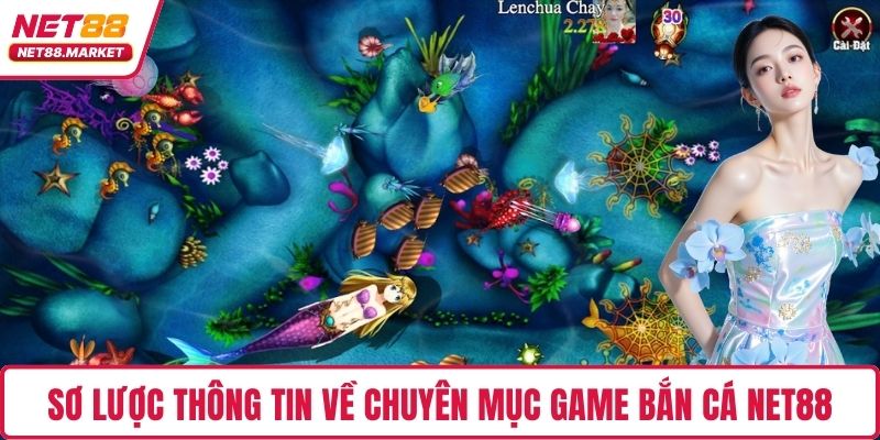 Sơ lược thông tin về chuyên mục game bắn cá NET88